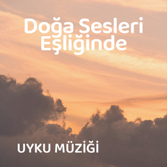 Stres atmak ve huzur bulmak için nehir sesi