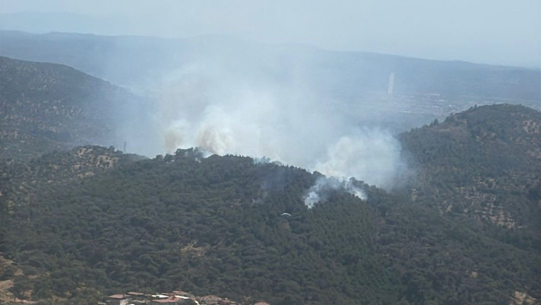 BALIKESİR’DE ORMAN YANGINI