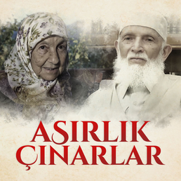 Asırlık Çınarlar 