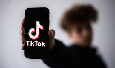 U.S. senators call for close look at TikTok