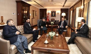 Turkish foreign minister meets former Afghan president