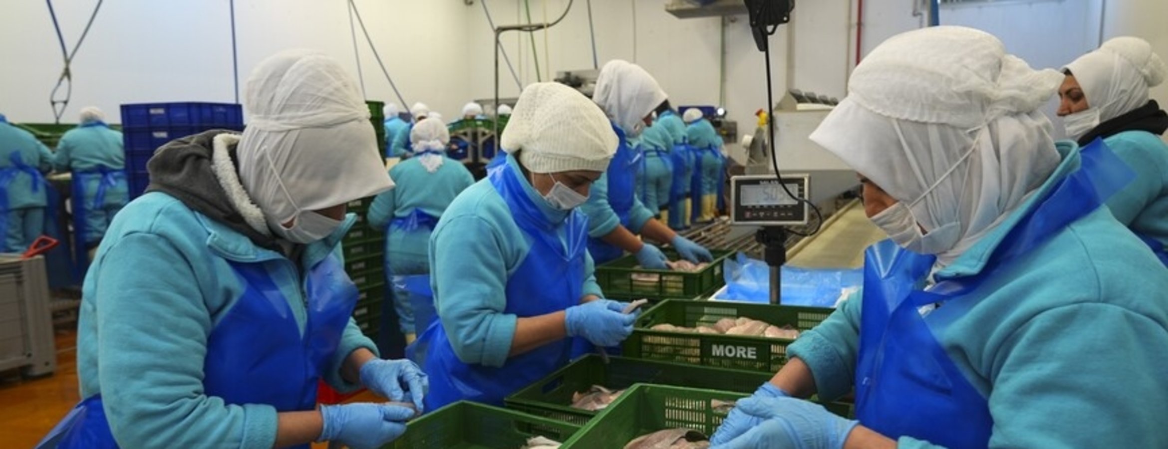 Türkiye geçen yıl 133 ülkeye 2,2 milyar dolarlık su ürünleri ihraç etti