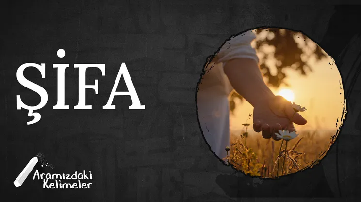 Şifa | Aramızdaki Kelimeler