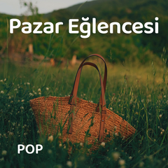 Bir Hayli