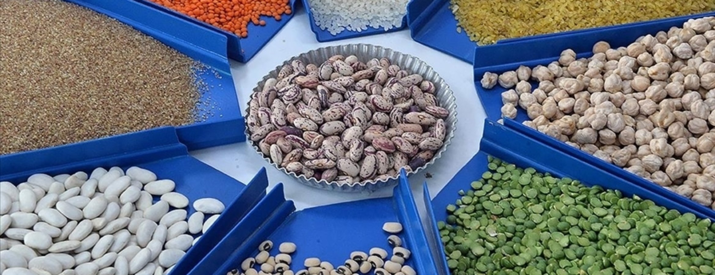 Tarım, gıda ve içecek sektöründen 2025’te 27,79 milyar dolarlık ihracat