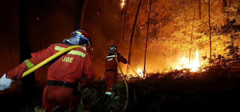 ARSONIST TERRORISTS BLAMED FOR SPANISH FOREST FIRES