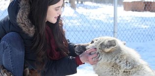 Kurtluğu insanlarda, insanlığı kurtlarda buldu