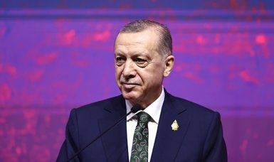 Erdoğan: Türkiye has right to take of its own problems in Northern Syria