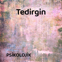 Tedirgin