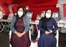 2 more Kurdish families join anti-PKK sit-in protest in Diyarbakır