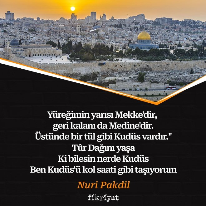 U uni butun yolni mushukiga surdi. U uni butun yolni mushukiga surdi.