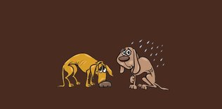 Yuvaya Dönüşen Plastikler