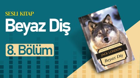 Beyaz Diş | 8. Bölüm