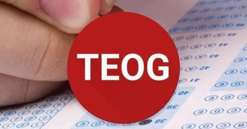 TEOG 2016 sınav sonuçları bugün açıklandı! TEOG sınav sonuçlarını öğrenmek için tıklayınız