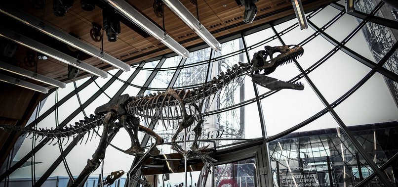 DINOSAUR SKELETON MAY FETCH UP TO $2.1M AT PARIS AUCTION