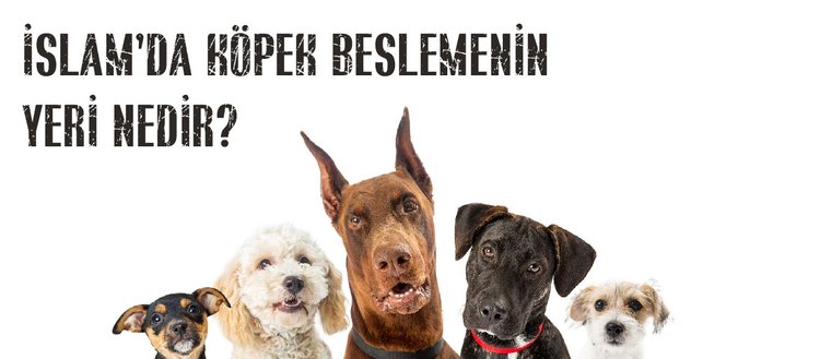 Köpek Satmak Hadis