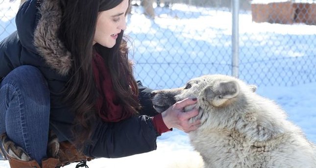 Kurtluğu insanlarda, insanlığı kurtlarda buldu