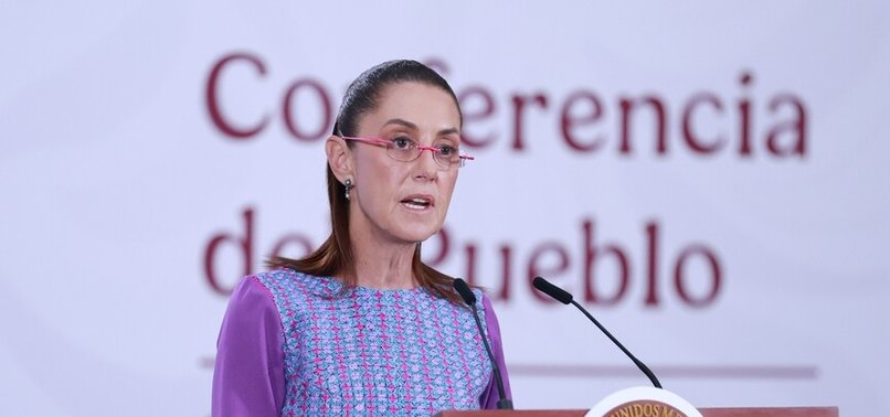 MEXICO, US DISCUSS COOPERATION