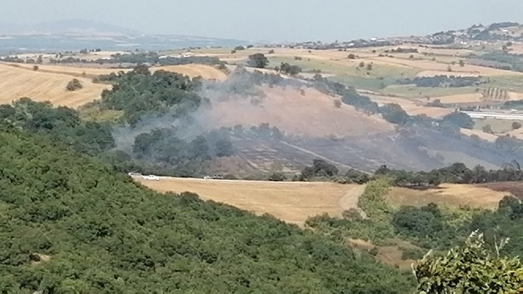 BALIKESİR’DE ORMAN YANGINI