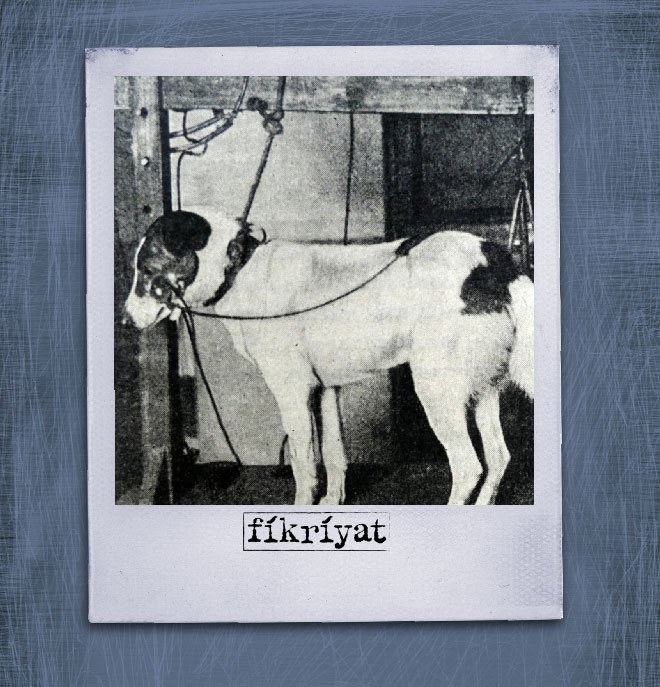 KOŞULSUZ TEPKİ NEDİR?