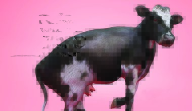 GİZEMSİZLİK, İFŞA VE RİYA