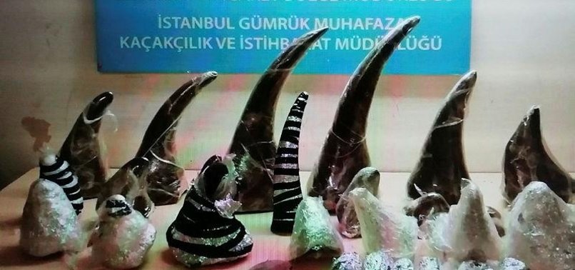 21 RHINO HORNS SEIZED AT ISTANBUL AIRPORT