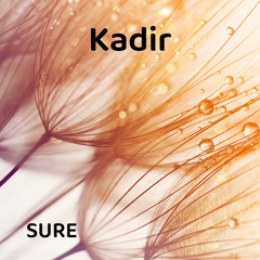 Kadir Suresi | Farklı Hocalardan Dinle 