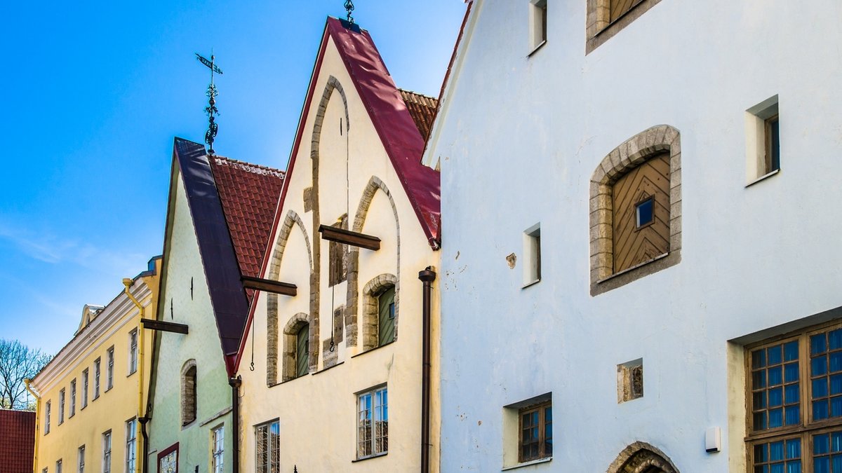 Tallinn Yemek ve Gezi Rehberi