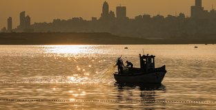 WTO fishing deal: the net results