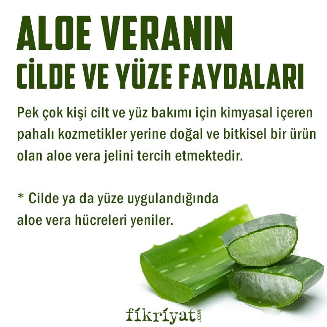 Aloe Vera Faydalari Nelerdir Aloe Vera Cilde Ve Yuze Surulur Mu Galeri Fikriyat Gazetesi Aloe Vera Faydalari Nelerdir Aloe Vera Cilde Ve Yuze Surulur Mu Galeri Fikriyat Gazetesi