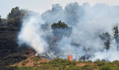 Italy arrests two Sicilian sheep farmers for lighting wildfires