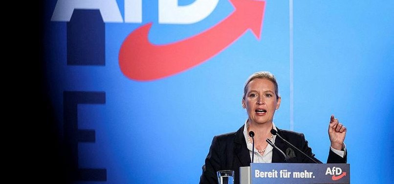 GERMANYS AFD WANTS TO BUILD FORTRESS EUROPE WITH PARTNERS