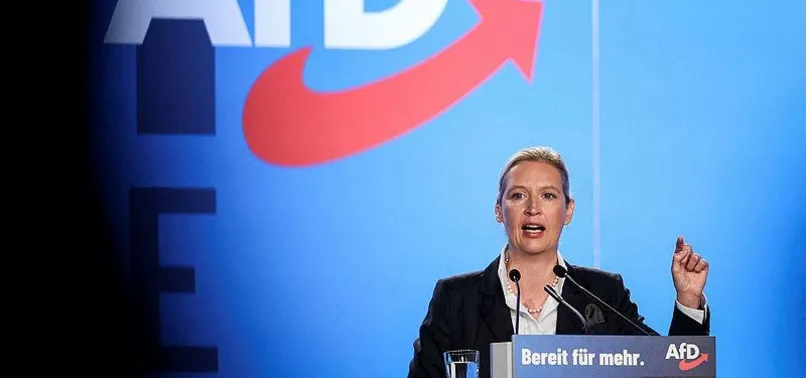 Germanys AfD wants to build Fortress Europe with partners - anews