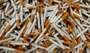 Swiss oppose government on media subsidies, tobacco advertising