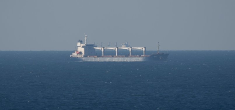 FIRST UKRAINE GRAIN SHIP REACHES TURKISH COAST