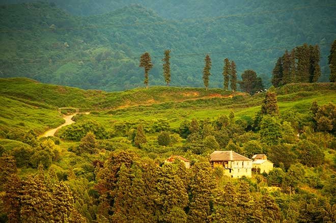 YENİ DÖNEMDE İLK GİRİŞİMLER