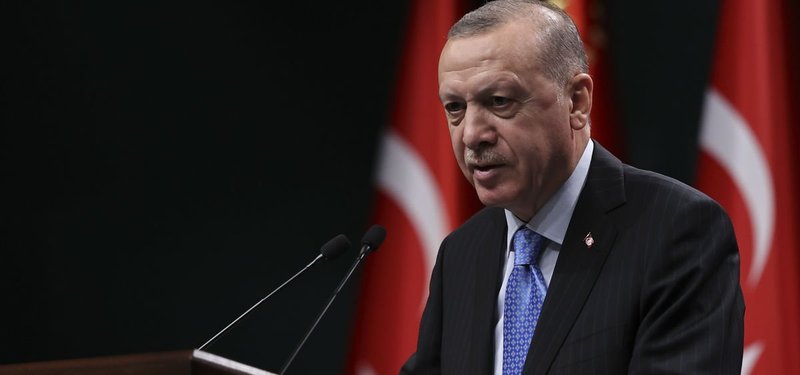 530,000 people voluntarily returned to safe zones in Syria: Turkish president
