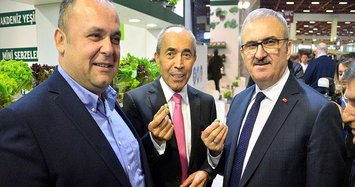 Turkish firm produces olive-sized watermelons