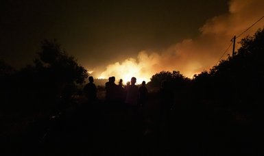 Thousands more flee fires outside Athens amid heatwave