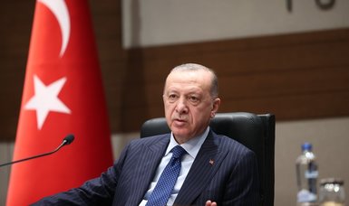 Turkey favors boosting ties with all Gulf states: President