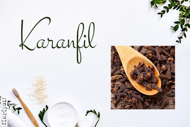 Karanfil