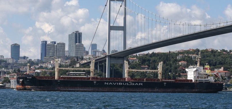INSPECTIONS OF GRAIN-LADEN UKRAINE SHIPS TO CONTINUE IN ISTANBUL