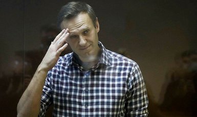 Navalny calls for more systematic sanctions against Russian oligarchs