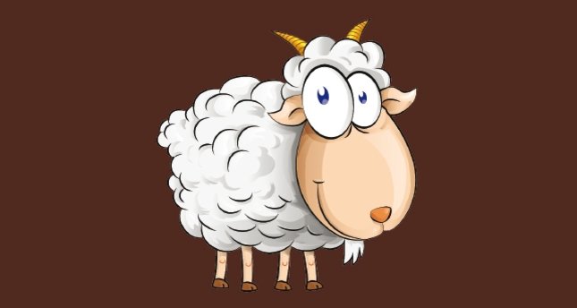 Nijer’e keçi yardımı