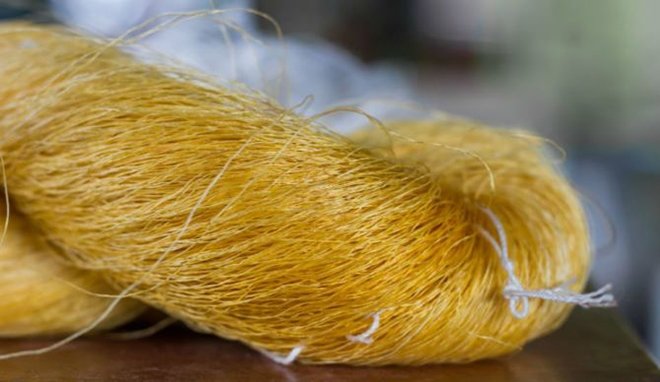 DENİZ YEMİNİ GEREĞİ PARA KAZANMIYORLAR