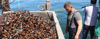 İçeridededışarıdadamüşterisihazır