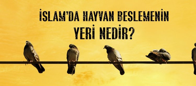 evde hayvan beslemek gunah midir islam da hayvan beslemenin yeri nedir kafeste kus besleme caiz midir fikriyat