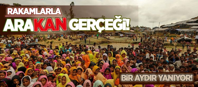 rakamlarla arakan gercegi fikriyat
