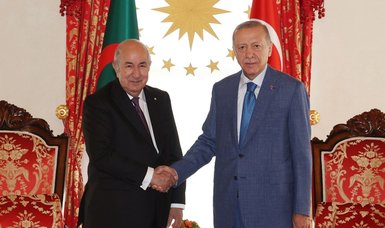 Erdoğan, Tebboune discuss steps to improve cooperation