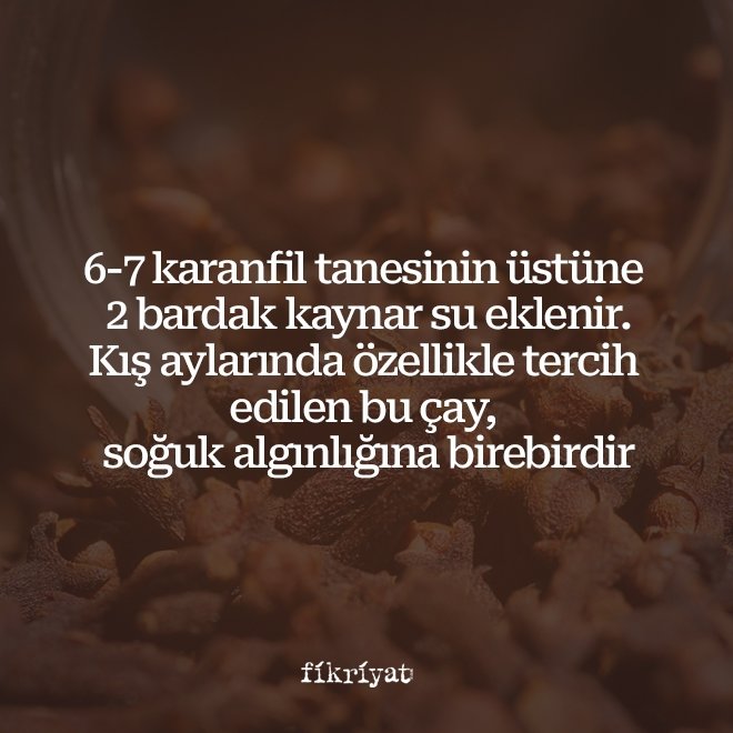 KARANFİL